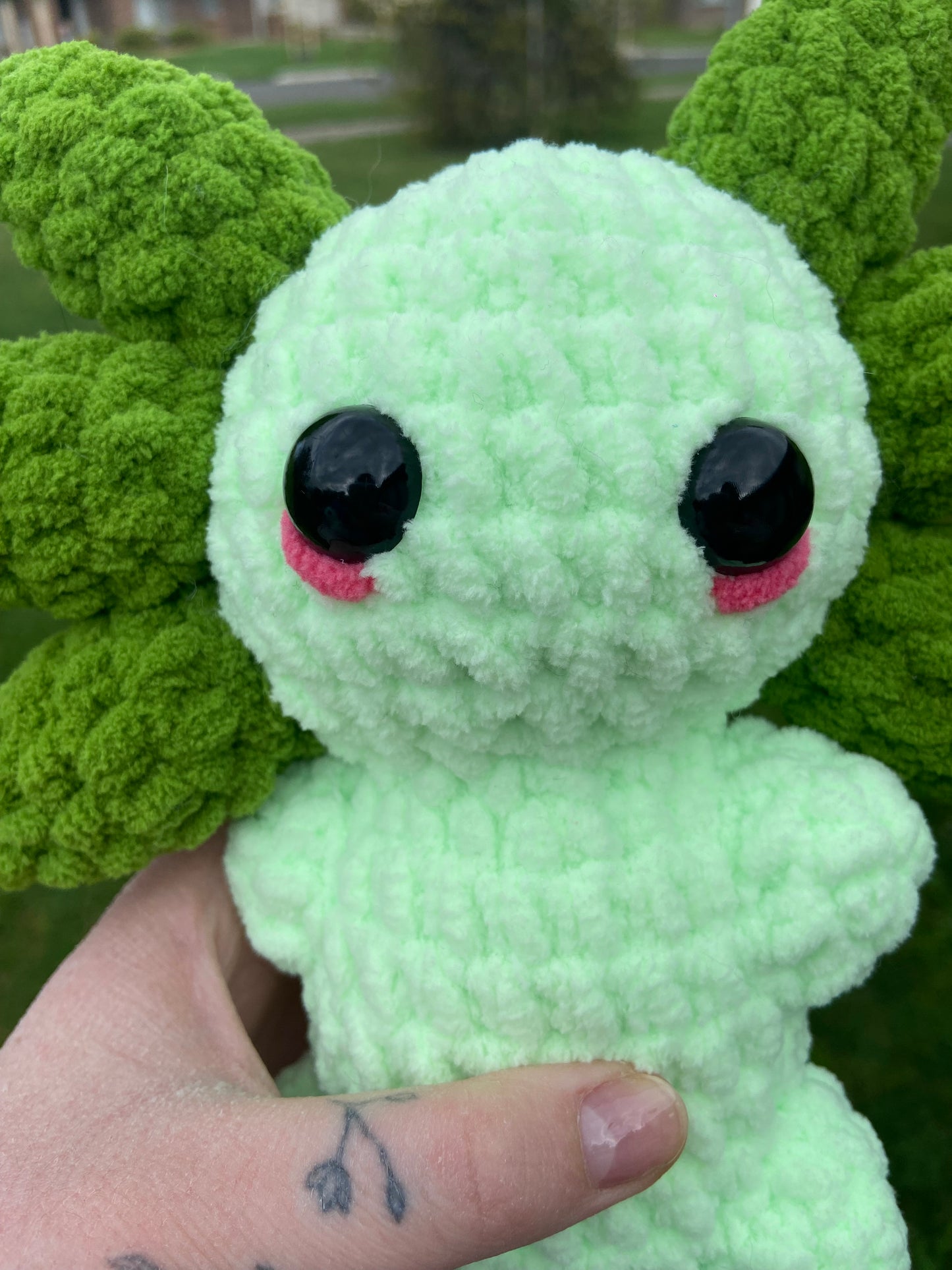 Medium green Axolotl