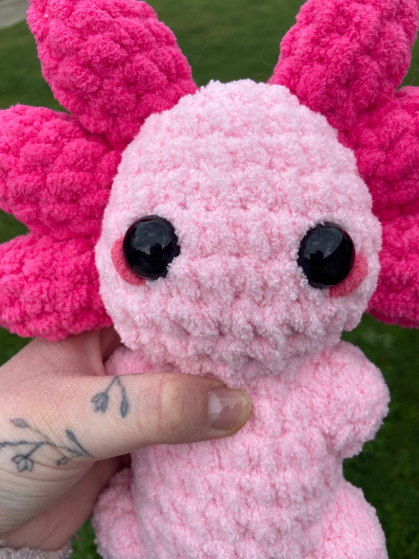 Medium Pink Axolotl