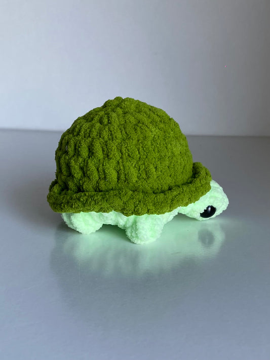Green turtle