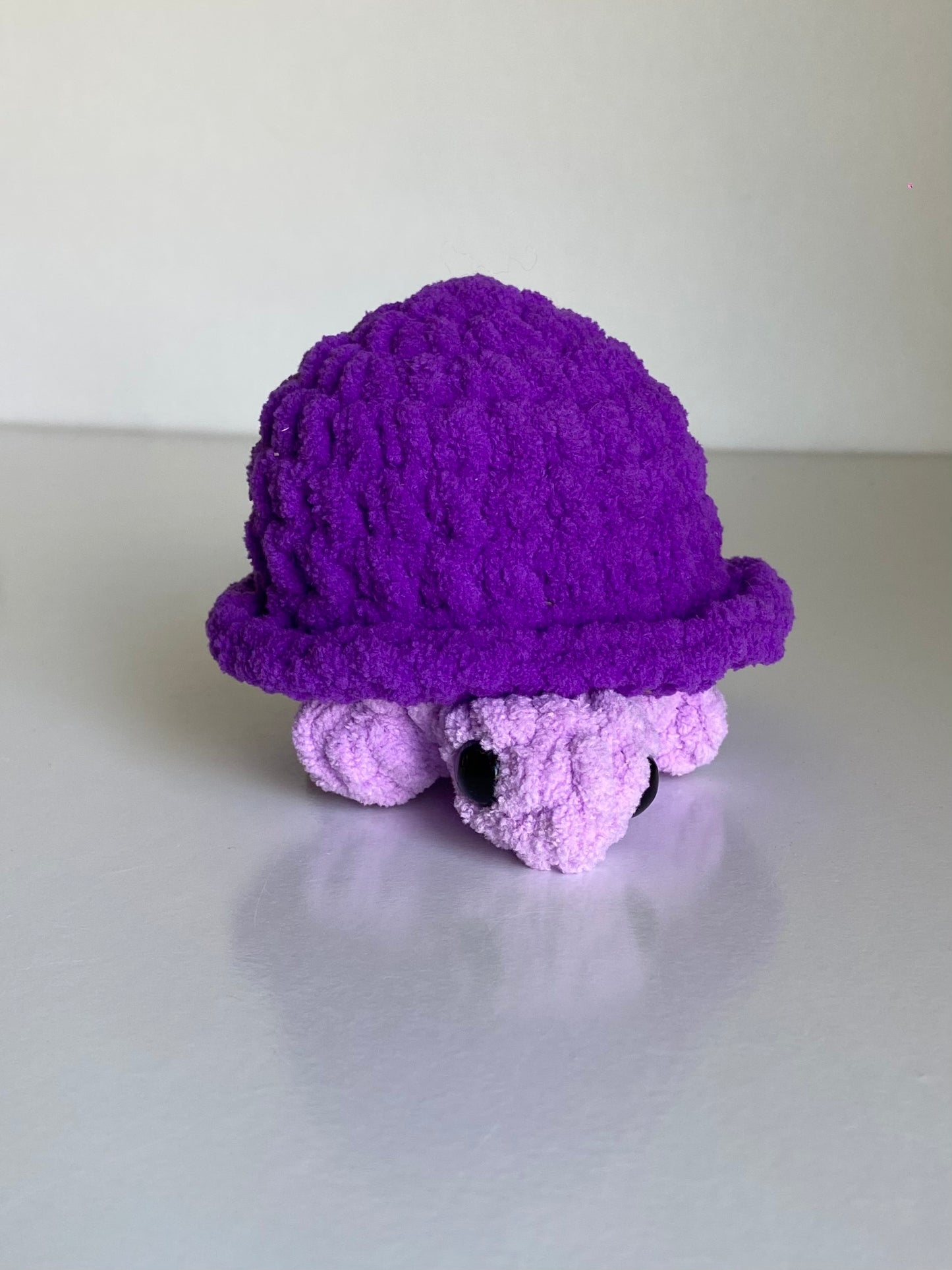 Purple Turtle
