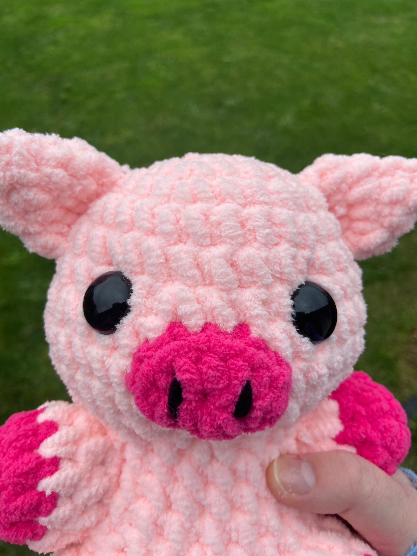 Large Pink Pig