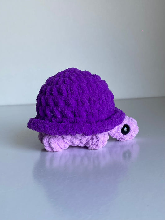 Purple Turtle