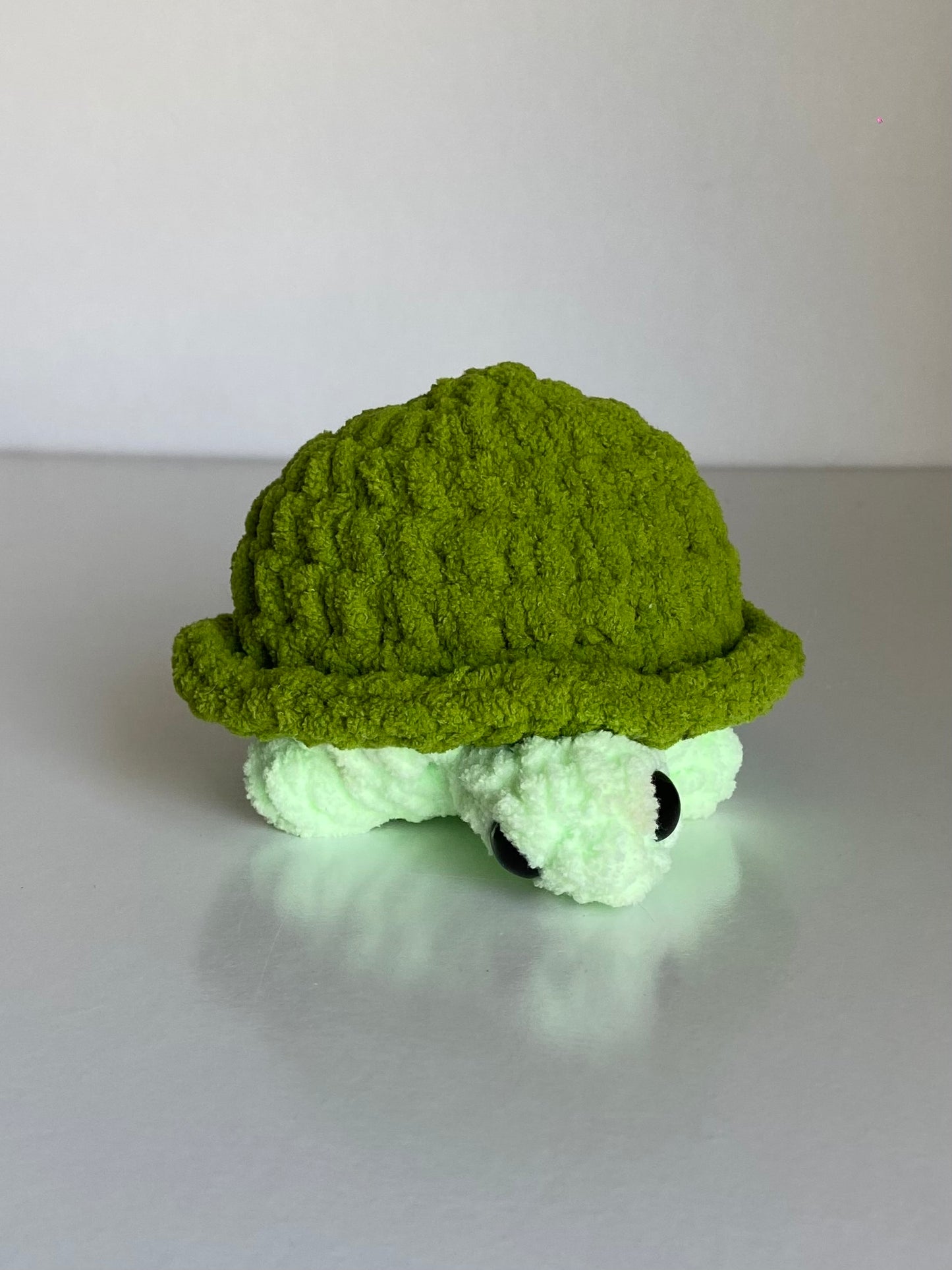 Green turtle