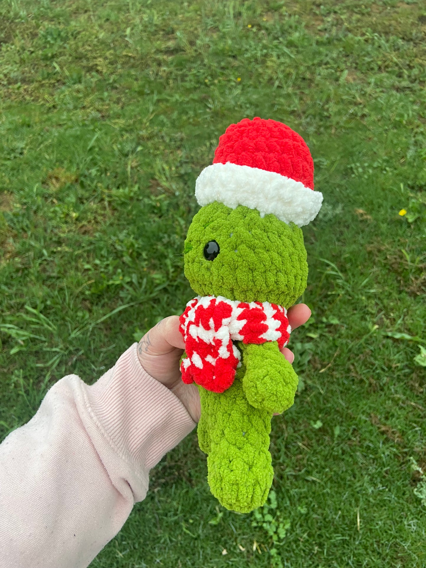 Grinch with Christmas Hat