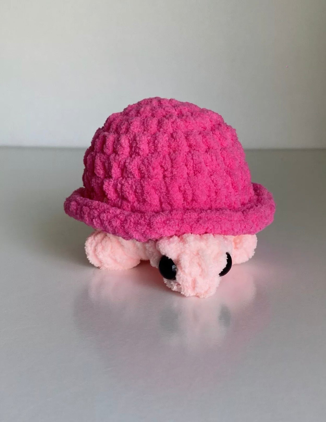 Pink turtle