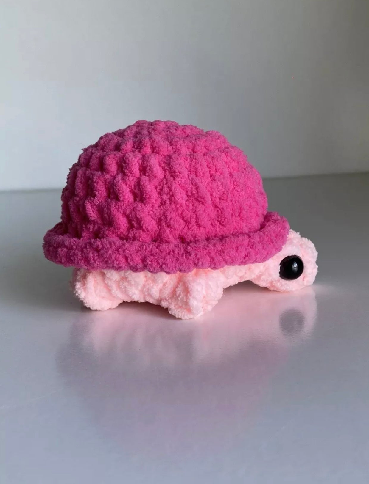 Pink turtle